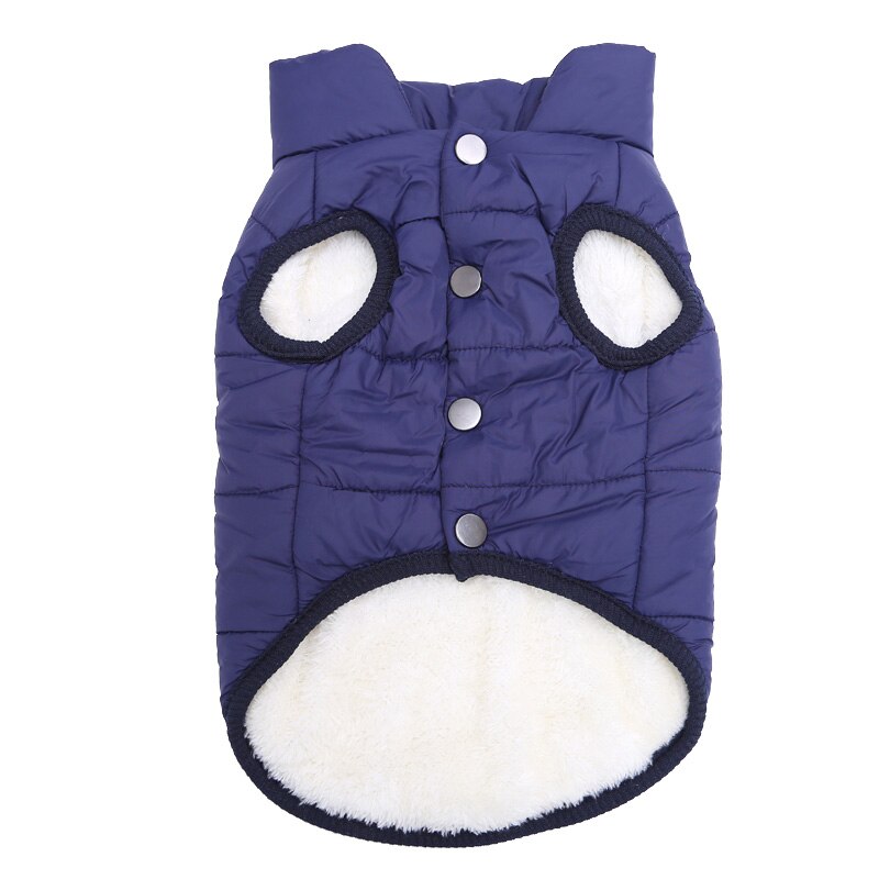 Warm and Stylish Cat and Dog Jacket for Autumn and Winter