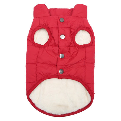 Warm and Stylish Cat and Dog Jacket for Autumn and Winter