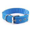 Durable Nylon Collars for Dogs of All Sizes