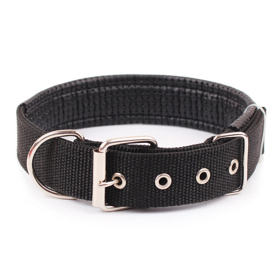 Durable Nylon Collars for Dogs of All Sizes