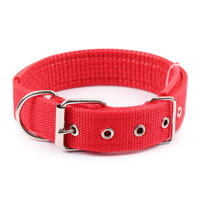 Durable Nylon Collars for Dogs of All Sizes