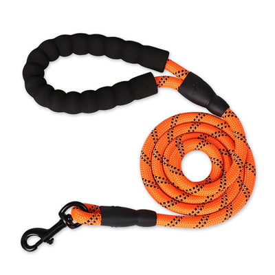 Strong Reflective Dog Leash for Dogs of All Sizes