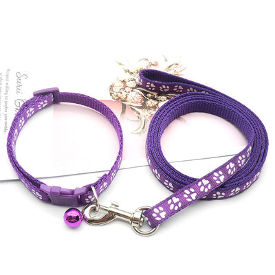 Cute Paw Print Pet Traction Rope and Collar Set